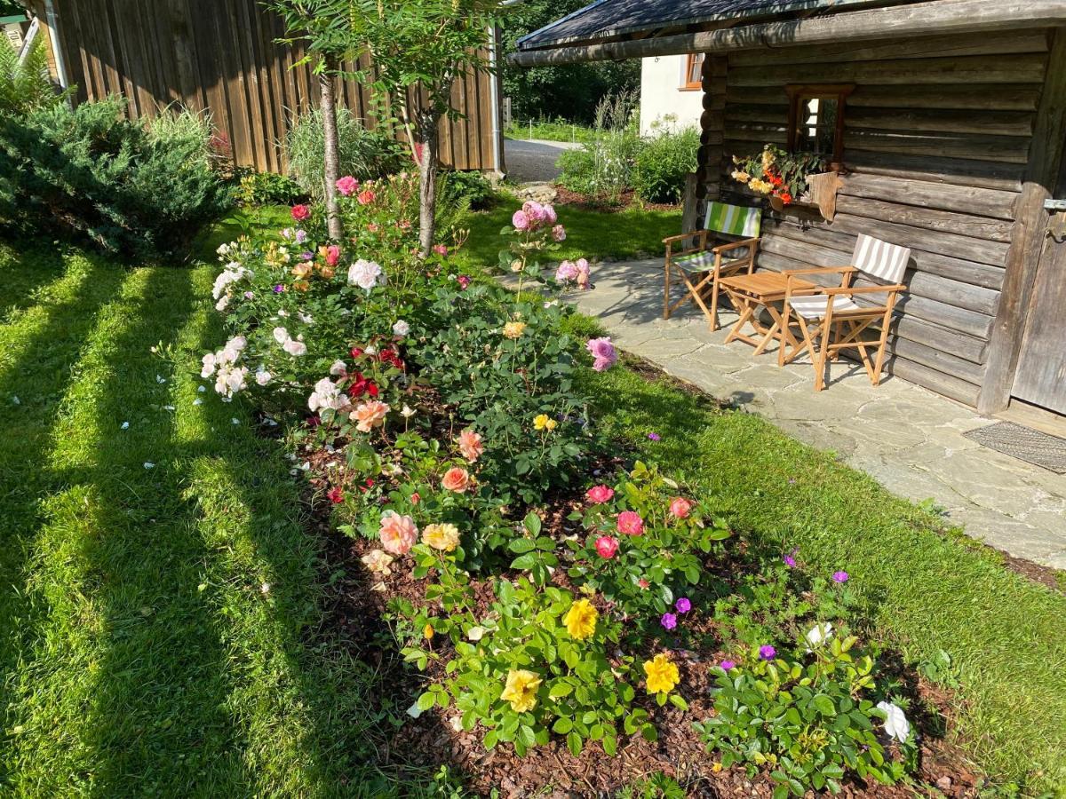 Oberleiten Apartment Wagrain